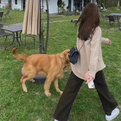 泥娃娃